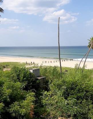 Ocean palms beach resort