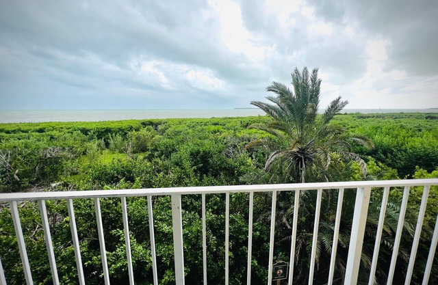 Ocean View 1BR - Near Marine & Bird Sanctuaries