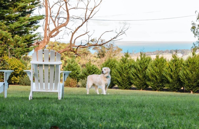 Ocean View House - Solar Heated Pool and Pet Friendly