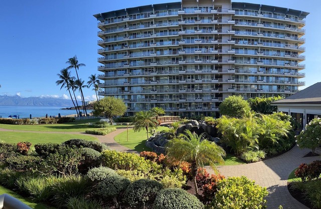 Ocean View Studio #264 - New Years Celebration on Maui - Dec 29-Jan 3, 2026