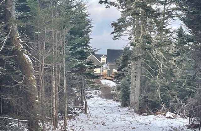 Oceanfront B&B on the Lighthouse Route. nFamily/Pet friendly, Warm Hospitality!