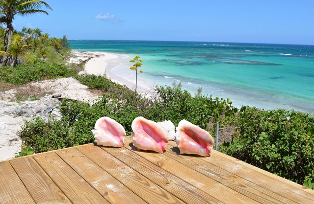 Oceanfront- Brand new Eleuthera house
