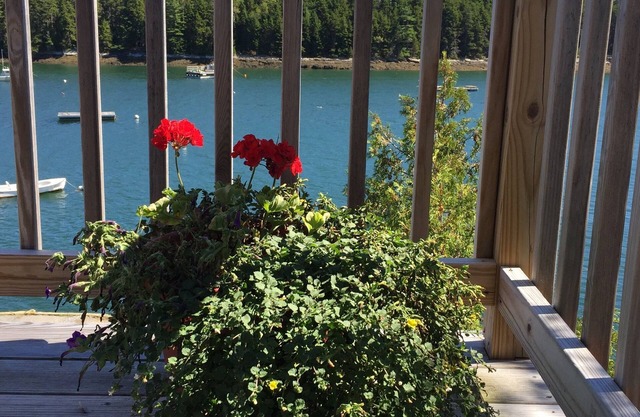Oceanfront cottage with dock and float on beautiful Quahog Bay
