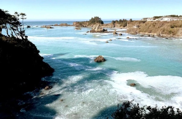 OCTOPUS SUITE, fire pit, BBQ, wildlife viewing platform, shared oceanfront deck.