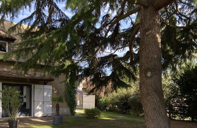 Old farmhouse restored with taste