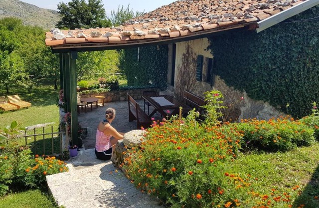 Old house Nilovic