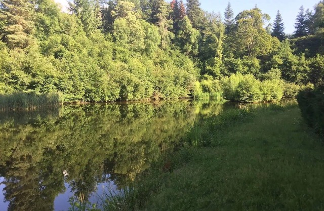 Old mill in a green setting