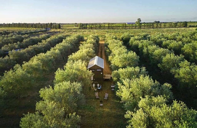 Olive Grove Retreat 2 by Tiny Away