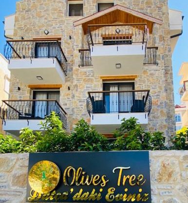 olives tree