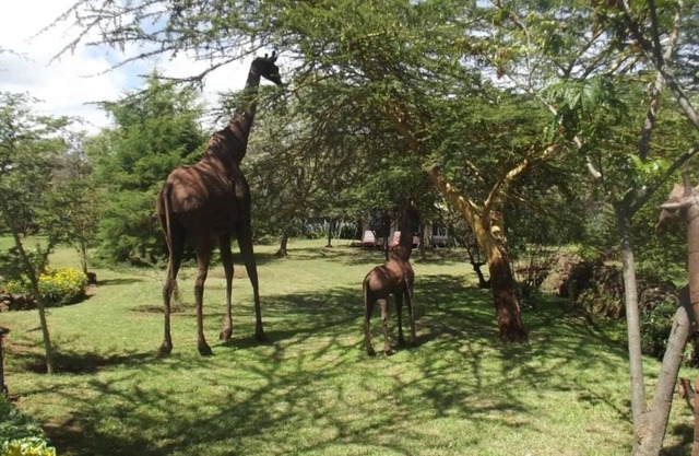 Olkaria .