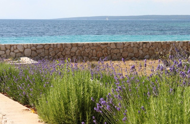 One bedroom apartment near beach Lun, Pag (A-3320-c)