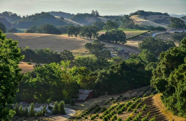 Orchard Hill Farm-Elegant Comfort in Desirable West Side Paso Robles!