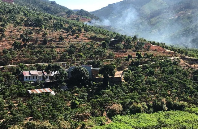 OVi coffee farmstay Đà Lạt