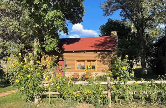 Pack Creek ~ Meadow House: Boho mountain oasis with fireplace, patio views, and stargazing bed