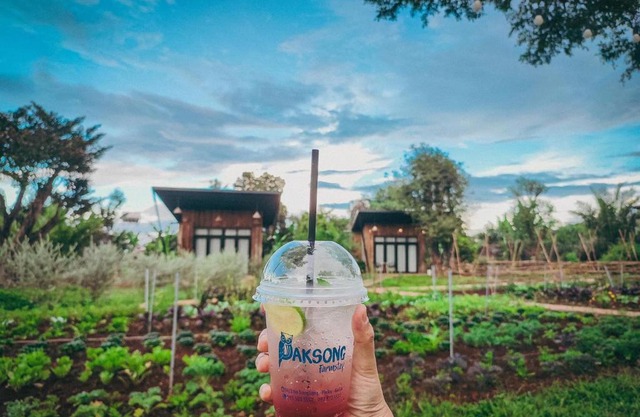 Paksong Farmstay Gia Lai