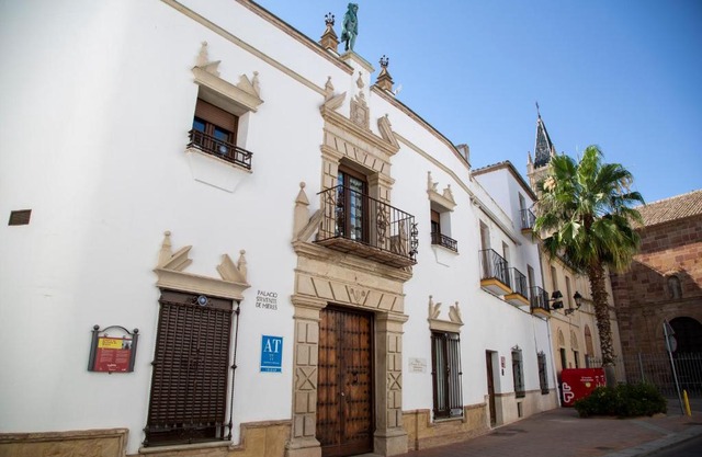 Palacio Sirvente Mieres - PARKING GRATUITO