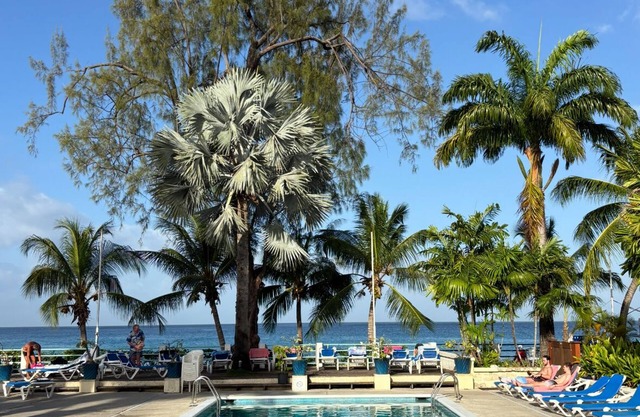 Palm Cottage - Sunset Crest, close to the beach and swimming pool