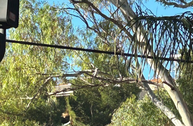 Palm View Studio on a quiet no through rd can walk to restaurants & pub,bus stop