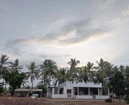 Panjo Kutchdo Farmstay