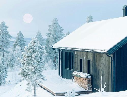 Panoramic Cabin At Fulufjellet With Ski In Ski Out
