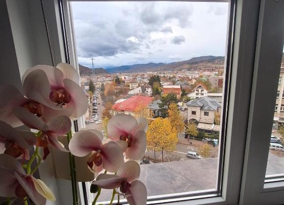 Panoramic Central Apartment
