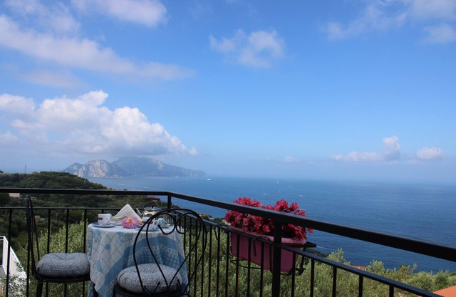 Panoramic house with furnished garden and view of Capri