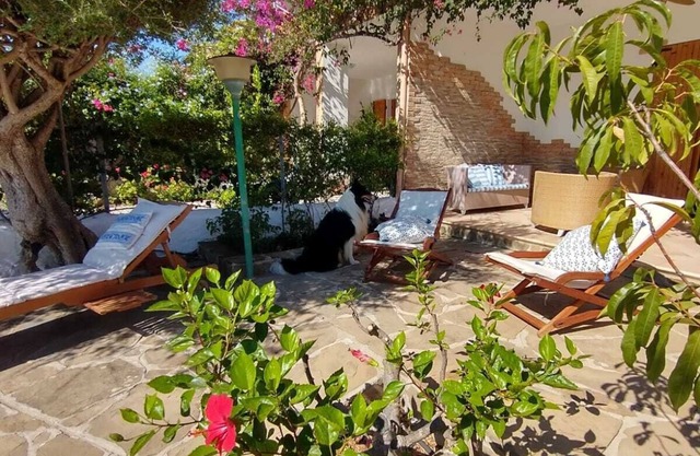 Panoramic, Independent by the sea direct access to the beach