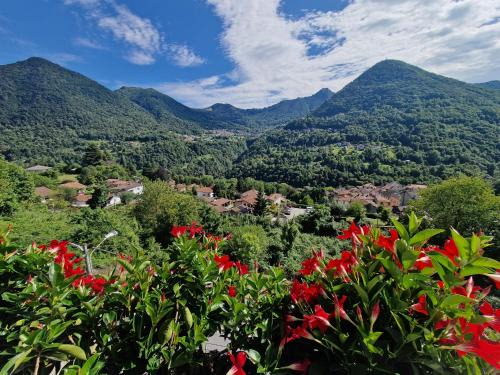 Panoramic View La Quiete