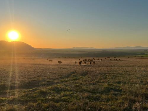 Papkuilsvlei Selfsorg Plaashuis