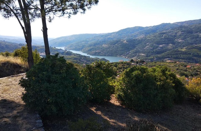 Paraíso Hills - Encostas do Paraíso: tranquilidade no Douro