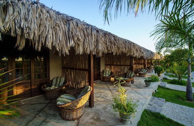 Paradise suit Sal Premium