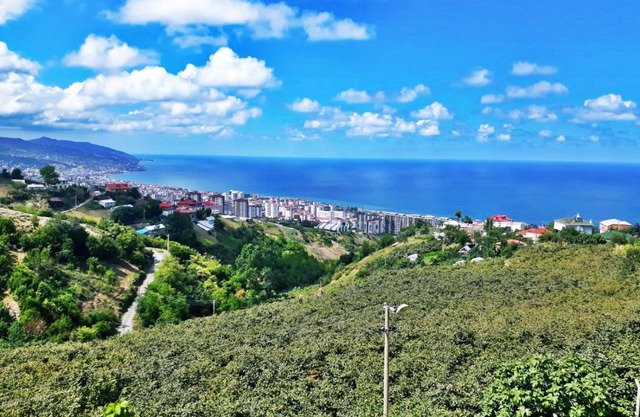 Paradise Villa Trabzon