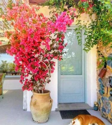 Paradiso verde a poca distanza dal mare