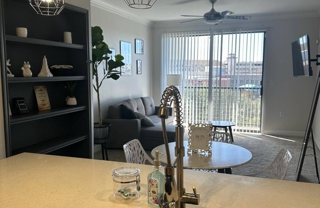Paris themed apartment in medical center area