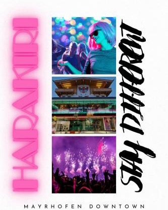Partyhouse HARAKIRI stay DIFFERENT 60 seconds to MOUNTAINS! Free PARKING! Self CHECK-IN