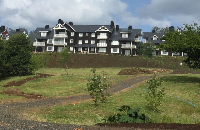 Patagonia Virgin Frutillar Lago Llanquihue Apartment, max 5-6 people.