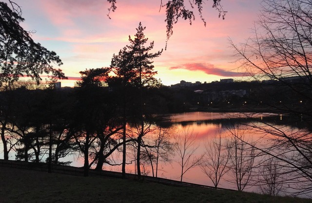 Peace and comfort in the heart of Lyon