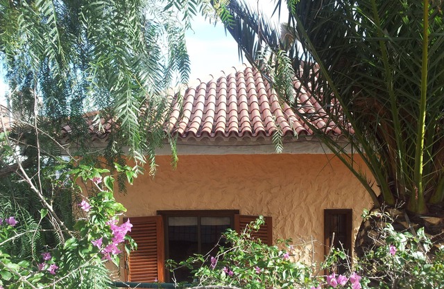 Peace, relaxation, family friendly, swimming, windsurfing, hiking, mountain biking,