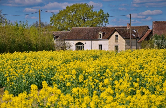 peaceful farmhouse surrounded by fields and woods, renovated comfort