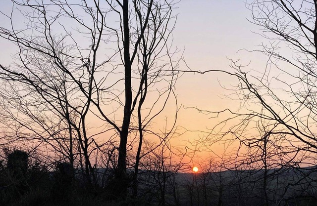 Peaceful Garden Studio near Gorey Sleeps 4 Parking