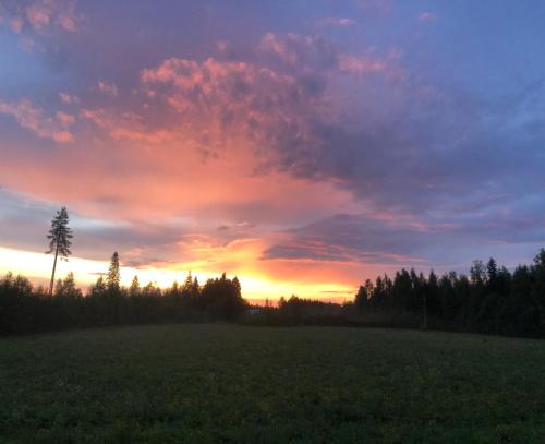 Peaceful, high-quality, rural home