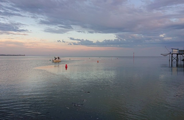 Peaceful house country sea 8 km Royan region bucolic and oceanic vacations