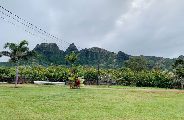 Peaceful Paradise