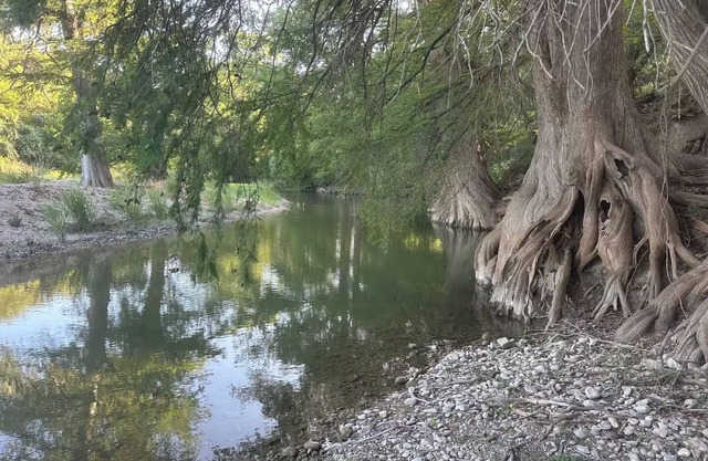 Peaceful & Private Riverfront Modern 3/3 on a 1.7 Acre Nature Peaceful & Private