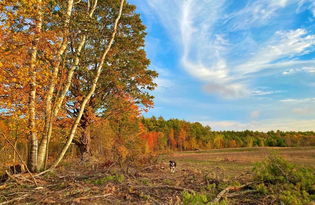 Peaceful Suite in a farm setting-20 mins to ocean-Unit 4- Abbott Brook Inn