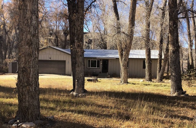 Peaceful wooded retreat on 1.4 acres! River Access, Fire Pit, Dog Friendly!