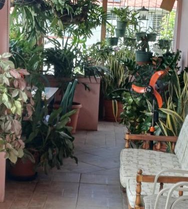 PeachBloom Terrace Inn