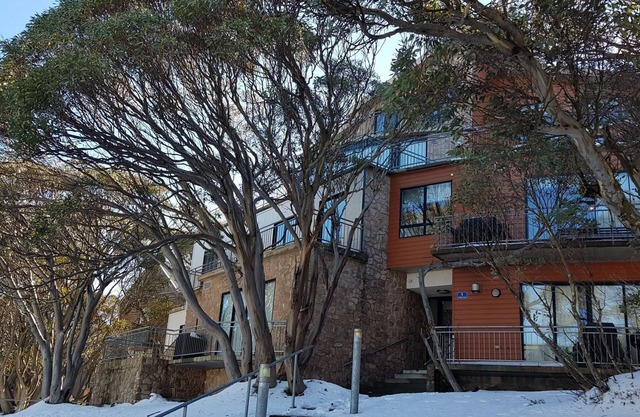 PEAK 105 - Mt Buller Village - Family/Small Group Accommodation