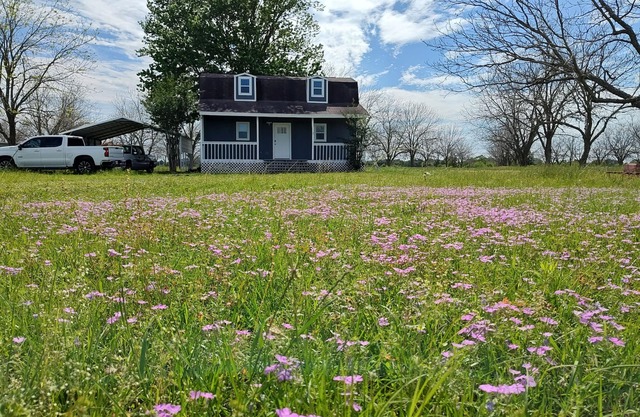 Pecan Farm Cabin