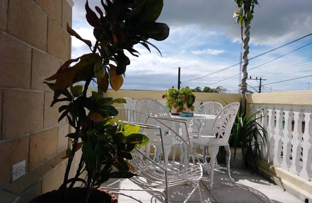 Pegasus Hostel